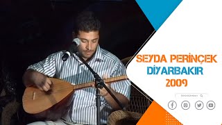 SEYDA PERİNÇEK DİYARBAKIR - 2009