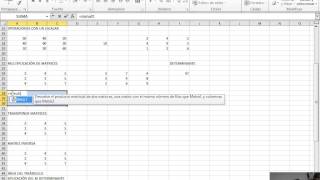 Operaciones con Matrices (Excel)