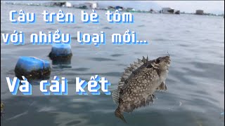 Câu trên bè tôm bằng nhiều loại mồi khác nhau… và cái kết. #fishingtrip @shank2ft