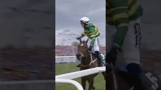 The moment you WIN the world’s greatest jumps race 🤯😮 #horseracing #horses