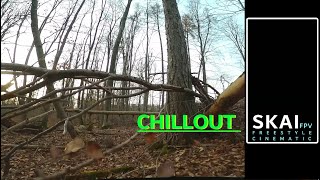 CHILLOUT # Chilling is good for the soul  #chilling #chillout #fpv #fpvlovers #SKAI