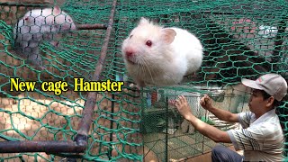 Hamster winter with a new cage. | videos of animals real life. pets and animals