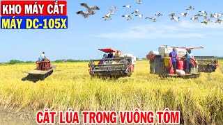 Máy Cắt DC-105X Chạy Đồng Ở Miệt Thứ Kiên Giang Thu Hoạch Lúa Trong Vuông Tôm | Kho Máy Cắt