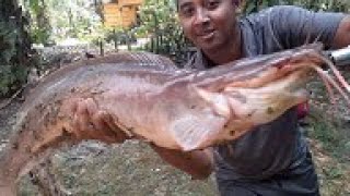 MENEGANGKAN TARIKAN IKAN LELE BABON || SOFLURE TERBAIK CASTING DALAM