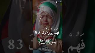 #اسلام #القرآن_الكريم