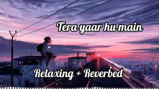 Tera yaar hu main {Relaxing and Reverbed} | Sonu ke titu ke sweety | It's Lofi