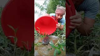 নদীর বিলে মাছ শিকার করছি কীভাবে Best fishing video#fishing #amazingfisher #video #fish #satisfying