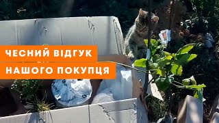 ВІДЕОВІДГУК АГРОМАРКЕТ (ОТЗЫВ) | Велике замовлення: Плодові, ягідні та декоративні | Agro-Market.ua