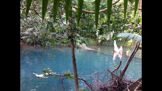 Daintree Rainforest Adventures