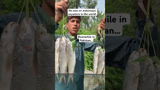 #goldenmahseer #trout #explorepakistan #fishing #fishingvideo #friedfish #foodblogger