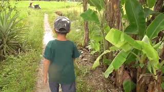 Jalan Ke Kebun, Liat Hasil Panen