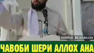 Чавоби шердил баройи мокрони бадбахт