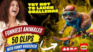 The Funniest Animals Ever! Hilarious Voiceover Clips Will Make You Cry with Laughter