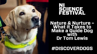 Discover: Dogs | Nature & Nurture – What it Takes to Make a Guide Dog #Dogs #Science #NISF