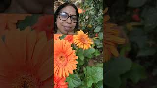 Flowers #shorts #ytshorts  #hamaribagiya#thegrounddiaries #funny