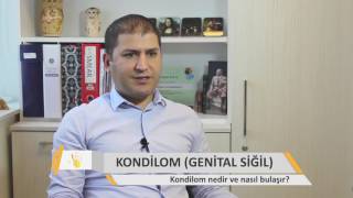 Kondilom (Genital Siğil) Nedir | Nasıl Bulaşır