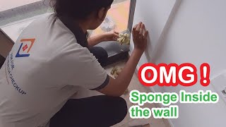 Issues Found During Home Inspection - sponge inside the wall In Luxury Flat