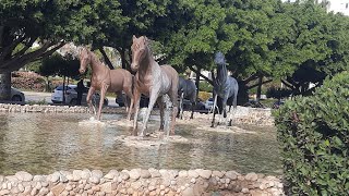 مارينا في مرسين مناطق جميلة جدا