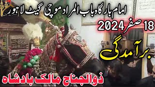 18 Safar 2024 | Baramdagi Zuljanah Malik Badshah | New Zuljanah | Mochi Gate Lahore