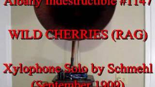 Wild Cherries (Rag) by Schmehl (Sept. 1909)