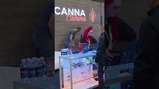 Top 5 Destinations For Cannabis Tourism: Pt 3. Toronto, Canada #shorts