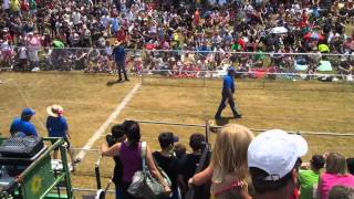 Buda, TX Annual Wiener Dog races!