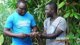 Maximize Your Vegetable Farm's Potential with Proper Soil Preparation | #soil #farming #vegetables