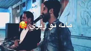 وشته دليمن شترا🤗❤//حالات واتس اب كردي عشق🙊♥//اغاني كردي حب جديدkurdish musik2019