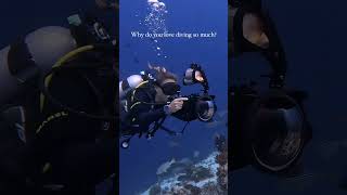 female scuba diver is filming underwater and having fun with her friend