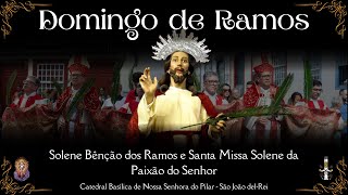 SEMANA SANTA  2024 | DOMINGO DE RAMOS|  24/03/2024