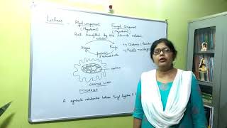 MaryLucasSchool Class XI Biology Video 6