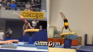 What's difference between Lopez & Driggs ? & 3 important basic trainings for Vault 【Turn on Eng sub】