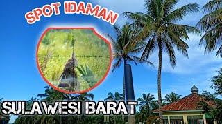 BERBURU‼️ ayam hutan derkuku ruak-ruak di spot idaman