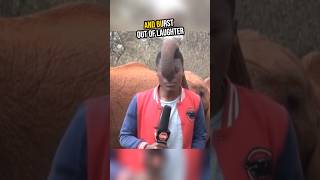 Baby Elephant Interrupted Live News 😆