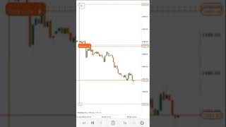 Live trade Report #shorts #video