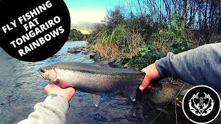 Fly Fishing Fat Rainbow Trout - Tongagriro River NZ