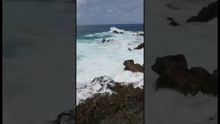 🏝️ Incredible ocean waves 🏝️ Tenerife 🏝️#tenerife #canaryislands