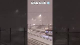 CALGARY 🇨🇦 CANADA 🇨🇦 #snowfall #calgary #canada #alberta #shortvideo