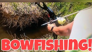 BOWFISHING!!! A LOT of fish......and even more MISSING!