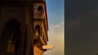 वृंदावन धाम #vrindavan #peaceful #jannat #youtubeshorts