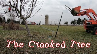 The Crooked Tree