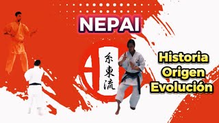 NEPAI: Una Joya Histórica del Karate