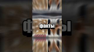 Случайные факты #факты