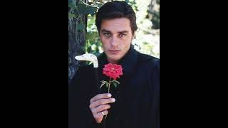 Beauty of Alain Delon