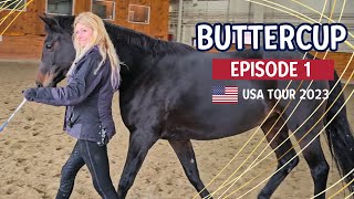 Episode 1: Buttercup (USA Tour 2023)