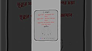 হে মালিক মৃত্যুর পূর্বে আমাদের ক্ষমা করুন । Life of islam #shorts #trend #viral #islamicvideo