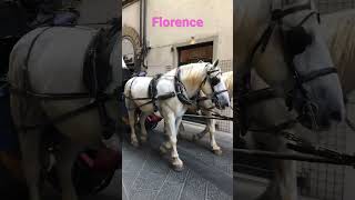 #travel #solo #love #fun #europe #horse #carriage #italy #street #florence