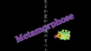 【METAMORPHOSE】応援歌 一歩の勇気 変わりたい 変格 人間アップデート 生まれ変わる 性格 運命 思考 習慣