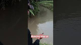 STRIKE UDANG MANTAP|mancing udang spot selokan gacor