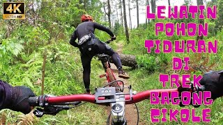 DOWNHILL CIKOLE BIKE PARK